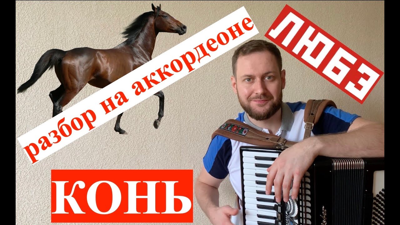 Конь - разбор на аккордеоне | Как играть коня на Аккордеоне| Выйду в поле с конем урок аккордеона смотреть онлайн