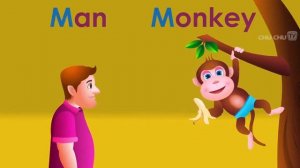 Песня английского алфавита со звуками для детей