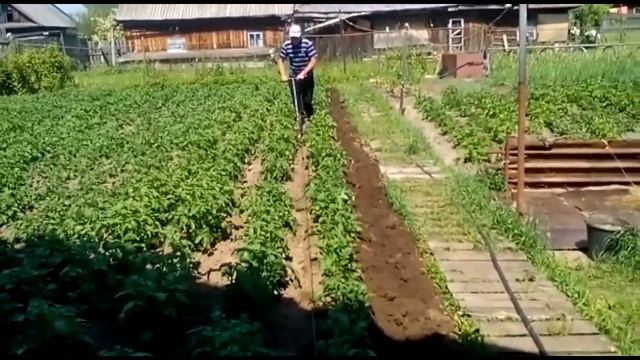 Окучиваем картошку лебедкой 