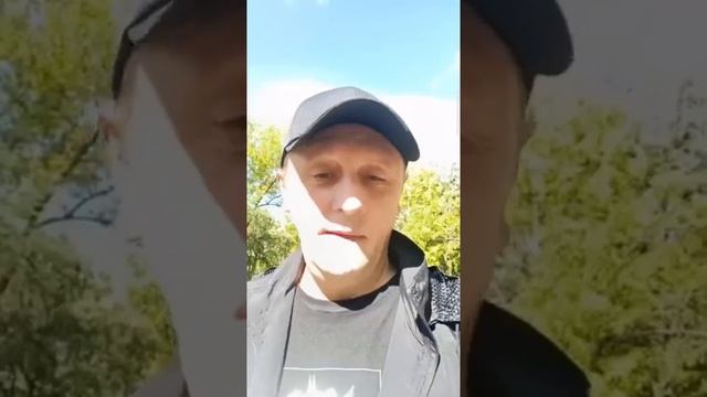 Сонник Забор во снах смотреть онлайн
