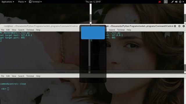Command and control server bot in python смотреть онлайн