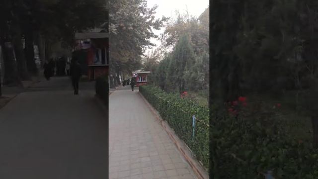 Душанбе - улица Маяковского 93/1 #душанбе #маяковского смотреть онлайн