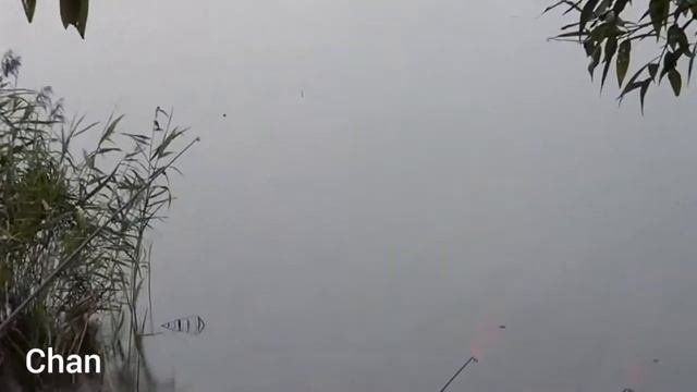 Красивый клип про рыбалку природу 2019 смотреть онлайн