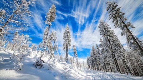 Beautiful World. In Existence