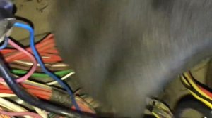 Renault logan нет искры не заводится largus clio kangoo