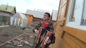 Иващенко Дмитрий. Гармошка