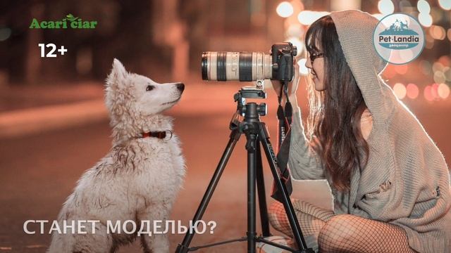 Сухой корм для собак Acari Ciar | Дегустация корма бесплатно! смотреть онлайн