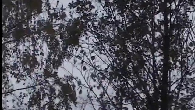 Кто молчит о разливе реки Ситня? смотреть онлайн