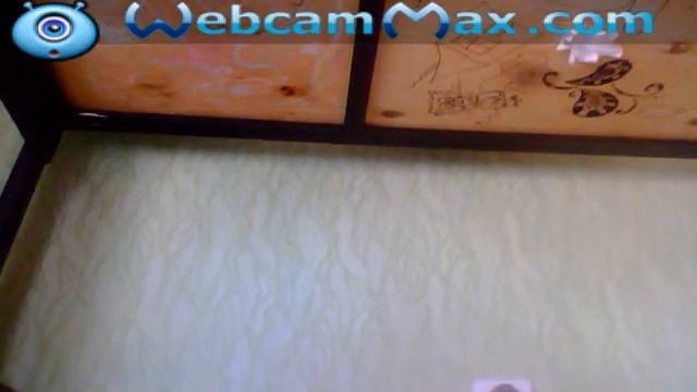 Видео с веб-камеры. Дата: 9 июня 2014 г., 3:13.