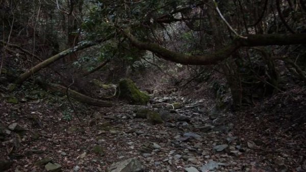 I visited Inunaki Tunnel | Japan's Most Haunted Place