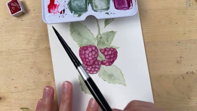 How To Paint Watercolor Raspberries | Watercolor Berries Tutorial