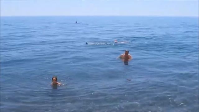 Никуся летающая рыба Рыбачье Крым 2019 смотреть онлайн