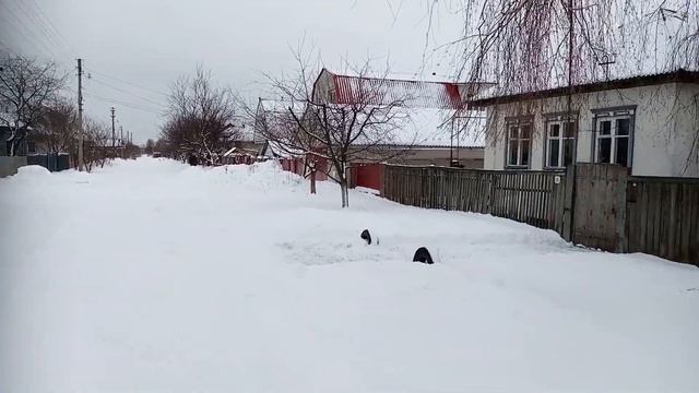 КОНОТОП ул 8 Марта Николай Ковинькин смотреть онлайн