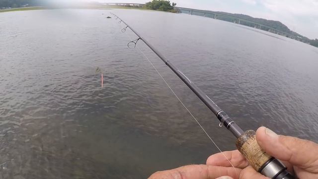 BIG FISH EVERYWHERE!!! How To Catch Big Bass In Ultra Shallow Water! смотреть онлайн