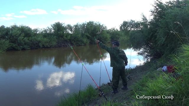 Рыбалка на соски. Ловля карася на соски смотреть онлайн
