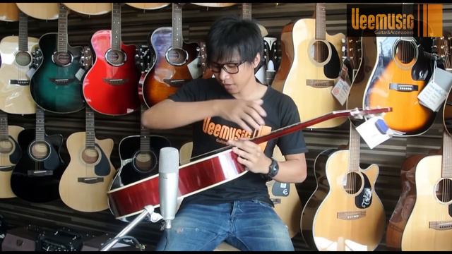 Epiphone PRO-1 Review By Veemusic
