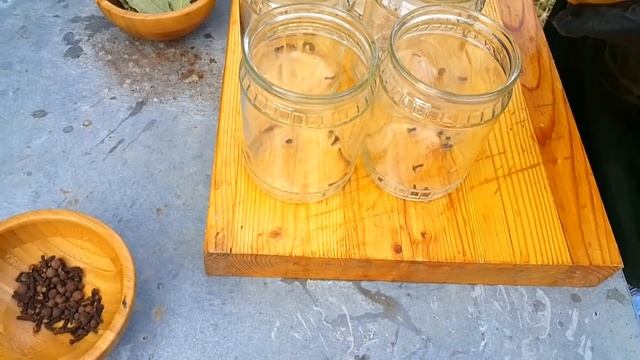 КОНСЕРВЫ РЫБНЫЕ ИЗ ТОЛСТОЛОБИКА В ДОМАШНИХ УСЛОВИЯХ РЕЦЕПТЫ СЮФ смотреть онлайн