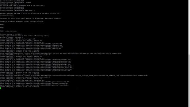 How to recover dropped Datafile in Oracle 19c - Tamil смотреть онлайн