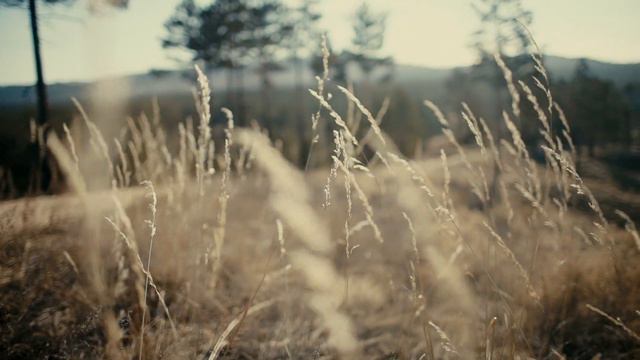 Внутри зима