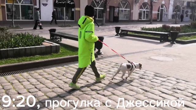 Один день из моей жизни! Такого формата ещё не было.