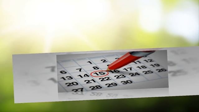 ХАТИОРА – неприхотливый эпифитный КАКТУС | Уход и разведение в домашних условиях