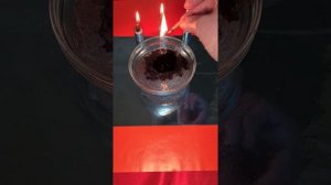 РИТУАЛ ЧИСТКА ОТ КОЛДОВСТВА И МАГИИ