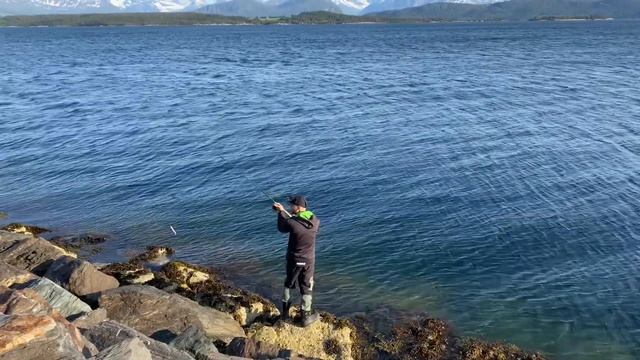 НА ЧТО клюёт? СИЛИКОН vs ЖЕЛЕЗО?! Рыбалка с Lange Fishing смотреть онлайн