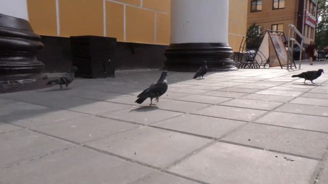Тополиный пух, жара, июль! смотреть онлайн
