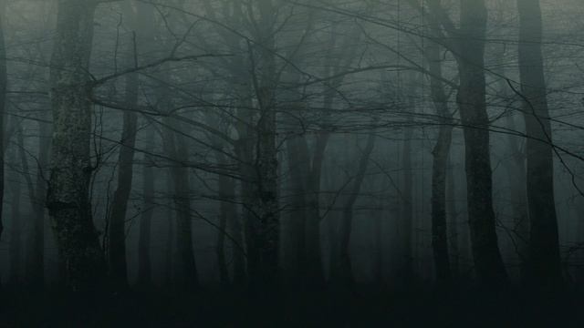 Happy Halloween! смотреть онлайн