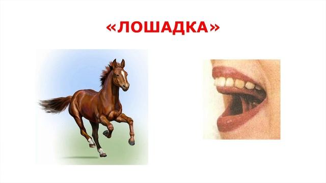 Учимся произносить звуки "ш", "с", "ц" смотреть онлайн
