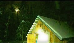 7 Зимняя рыбалка. Трофейчик пойман. ХЕ из хариуса. Часть 2..mp4 смотреть онлайн