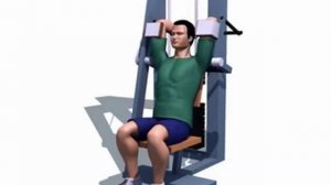 Правильное выполнение - Пулловер (тренажер)