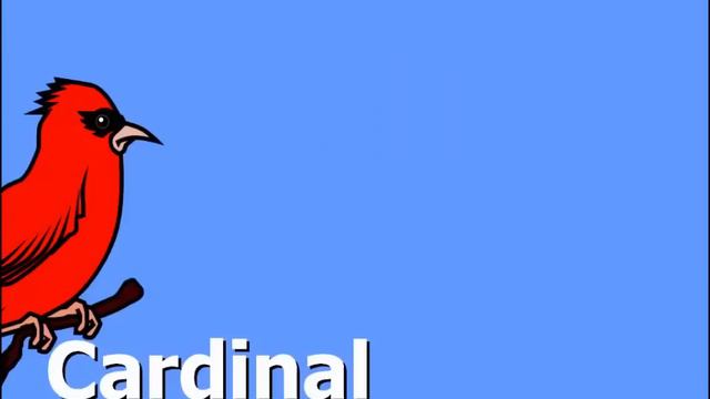 Птицы.   Английский язык для детей. смотреть онлайн