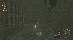 The Legend of Zelda Tears of the Kingdom Остров Лабиринта