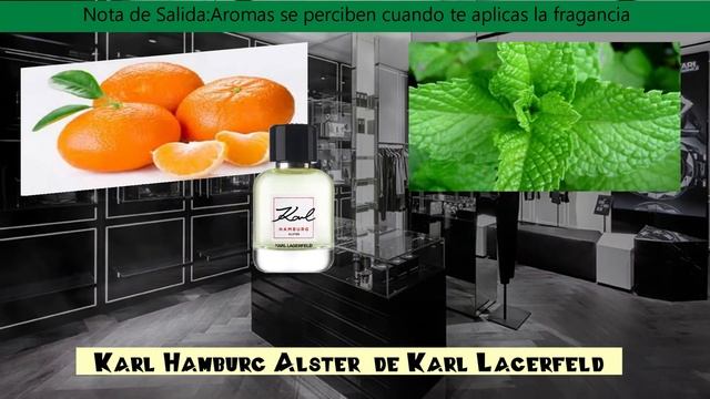 Perfumes 2021 Karl Hamburg Alster de karl lagerfeld para hombres|Ingredientes Principales смотреть онлайн
