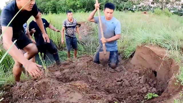 KING PYTHON71 | Brave Pitbull Hunter Catch Giant Python 100kg and Godzilla смотреть онлайн