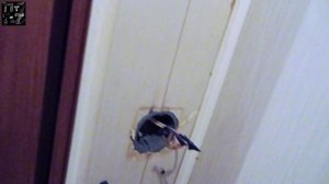 ✅ Замена и установка розетки в пластиковых панелях  ( ПВХ ) / Мелкий ремонт