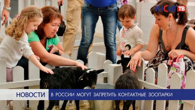 Темы недели: шахматы, контактные зоопарки и Баландино смотреть онлайн