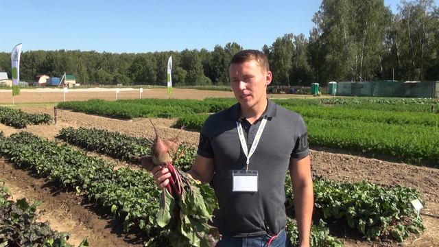 Свекла МОНТИ смотреть онлайн