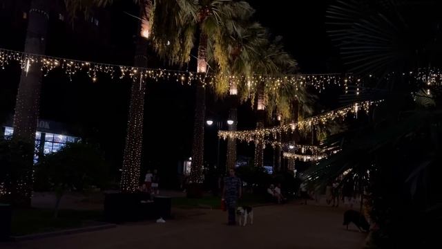 СОЧИ / Бассейн в отеле / Уличная еда На ужин Азиатская смотреть онлайн