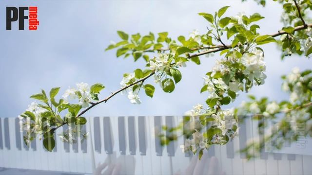 Очень красивая музыка для души!!! Красивая музыка без слов на фортепиано смотреть онлайн