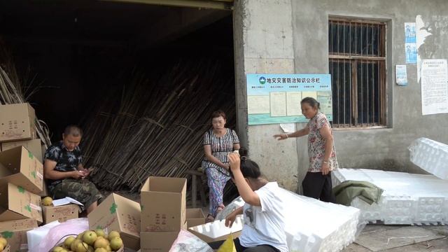 【农村四哥】农村四哥收藤梨告一段落，4天卖出700多件货，期待明年再来 смотреть онлайн