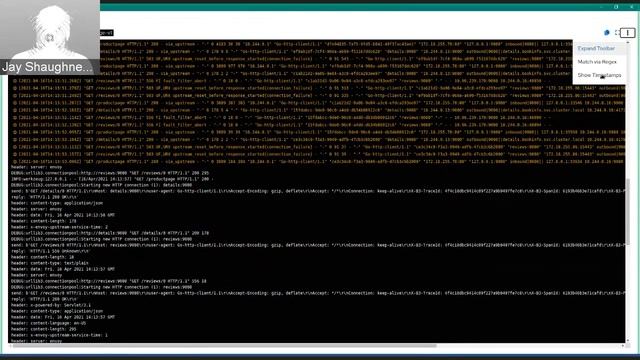 Enriching application logs with Envoy access entries - Istio and Kiali in action смотреть онлайн