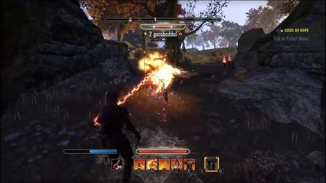 The Elder Scrolls Online: Tamriel Unlimited failed attempt at ganking. смотреть онлайн