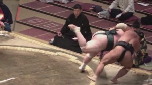 Сидеть в первых рядах на сумо небезопасно))))))