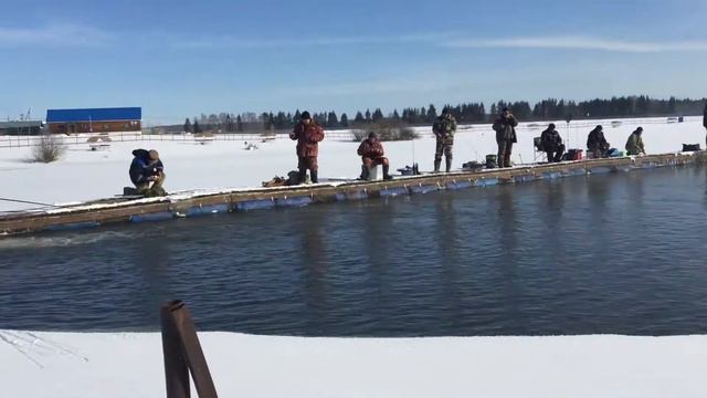 04.04.22 г. Состояние жидкой воды на ВИП территории !!! смотреть онлайн
