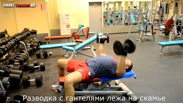 Разводка с гантелями лежа на горизонтальной скамье. смотреть онлайн