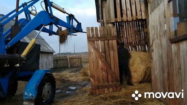 МИНИ-ФЕРМА!РАБОТЫ ЗИМОЙ-ЗАВОЗИМ СЕНО!ПОГОДА В КАЛИНИНГРАДСКОЙ ОБЛАСТИ!ВДВОЕМ НА БОЛЬШОМ ХОЗЯЙСТВЕ! смотреть онлайн