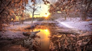 Падающий снег (Aakash Gandhi)