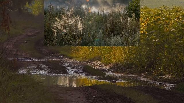 Анатолий Степанов Фото Сотри случайные черты Д Гаррет Шуберт Серенада Монтаж Екатерина Демидова смотреть онлайн